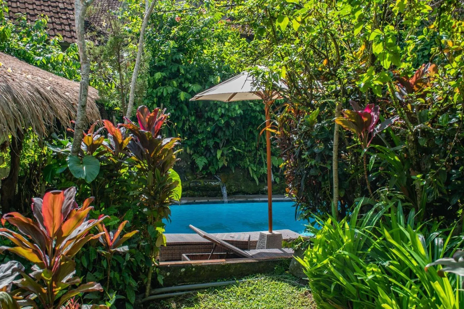 Down The Rabbit Hole Apartment Ubud  Indonesia