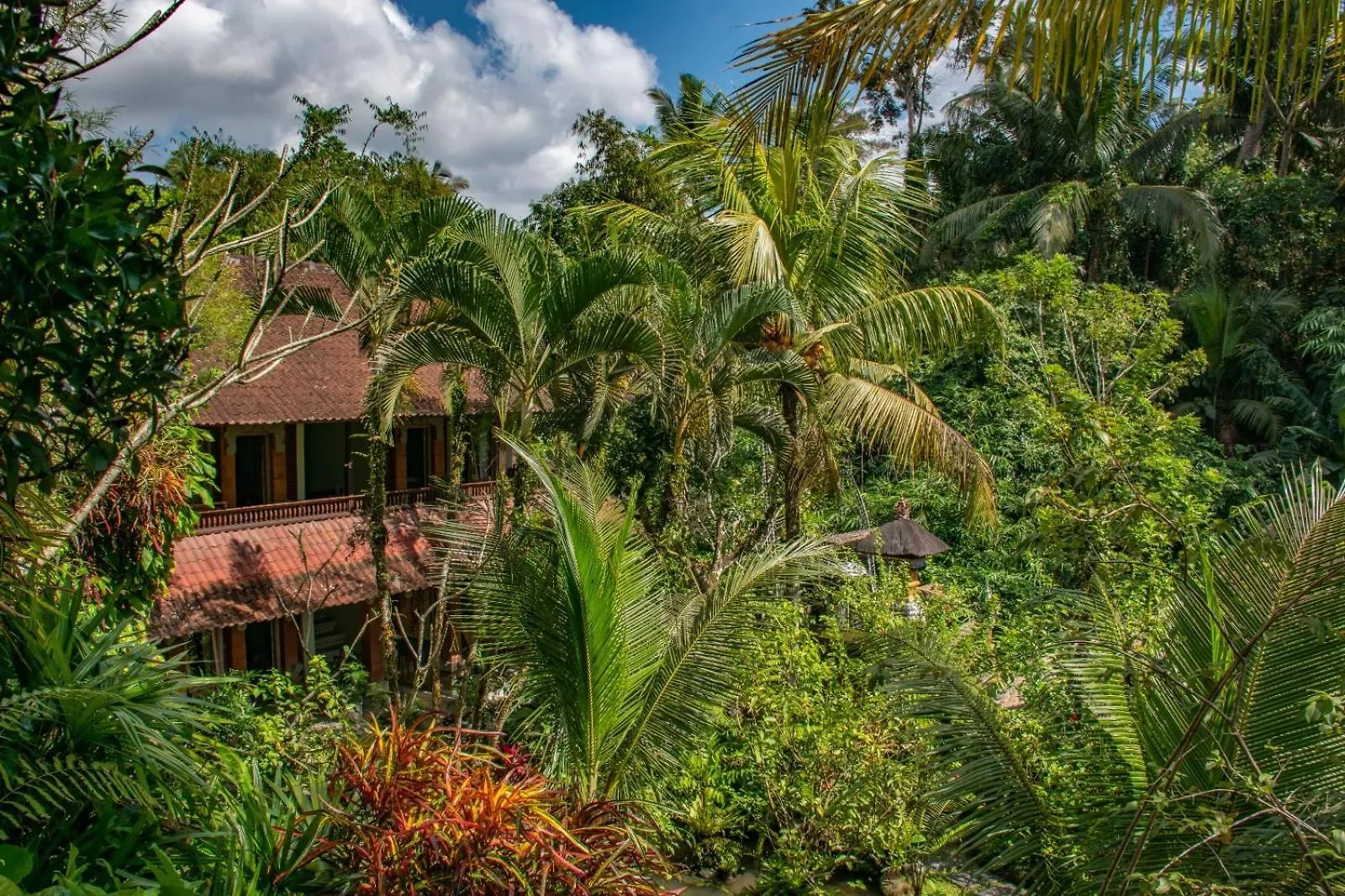 Down The Rabbit Hole Apartment Ubud  0*, Ubud (Bali) Indonesia